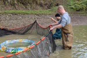Für Springschutz lange Eisen in den schlammigen Boden nageln damit kein Fisch rausspringen kann